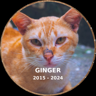 Cat memorial photo hand-cut into a rustic wood slice keepsake