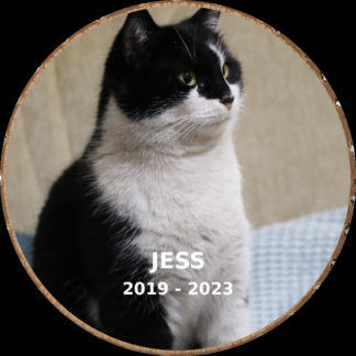 Cat memorial photo hand-cut into a rustic wood slice keepsake
