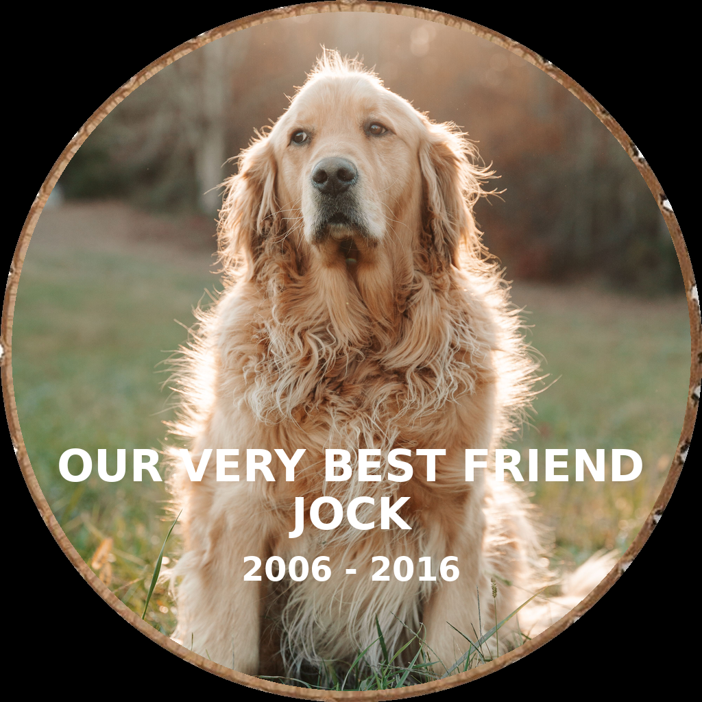 Dog memorial photo hand-cut into a rustic wood slice keepsake