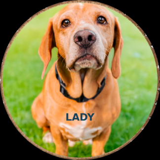 Dog photo hand-cut into a rustic wood slice keepsake