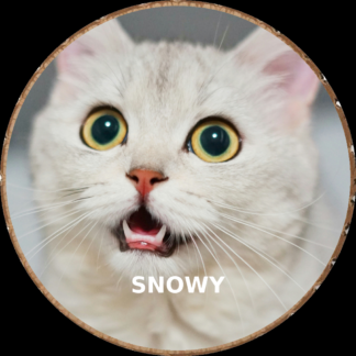 Cat photo printed on a rustic wood slice keepsake