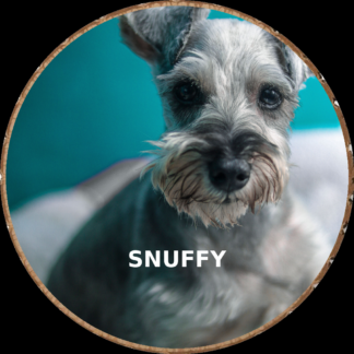 Dog photo printed on a rustic wood slice keepsake