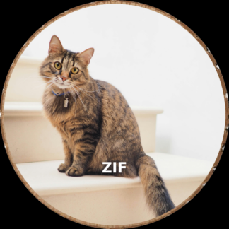 Cat portrait photo hand-cut into a rustic wood slice keepsake