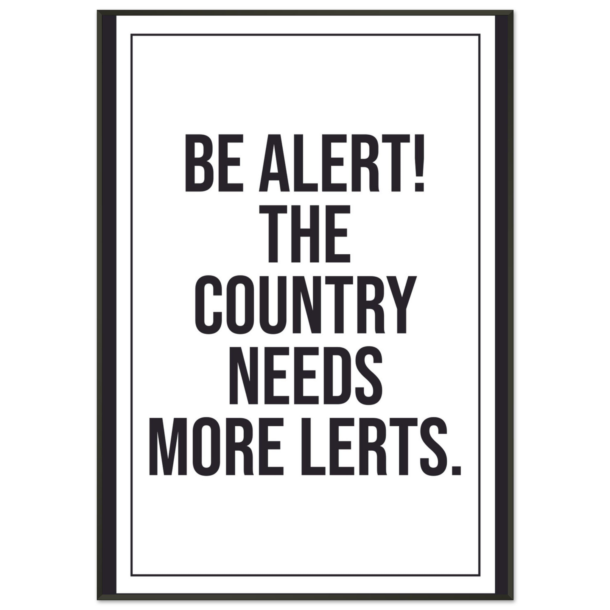 Funny Wall Art - Be Alert The Country Needs More Lerts